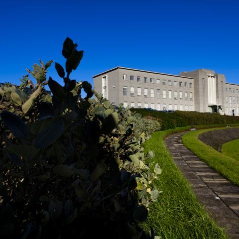 Aðalbygging Hí í sumarlegu umhverfi